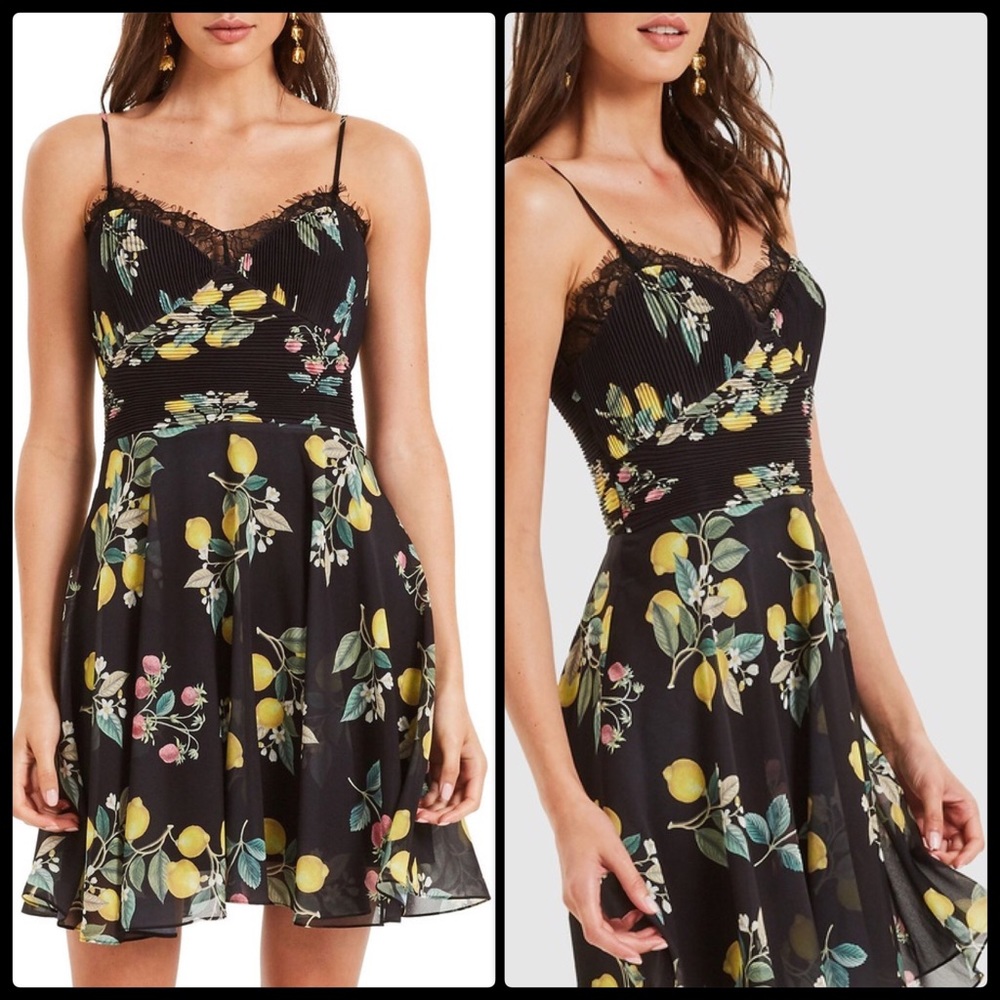 COOPER ST 🍋 Limon Mini NWT